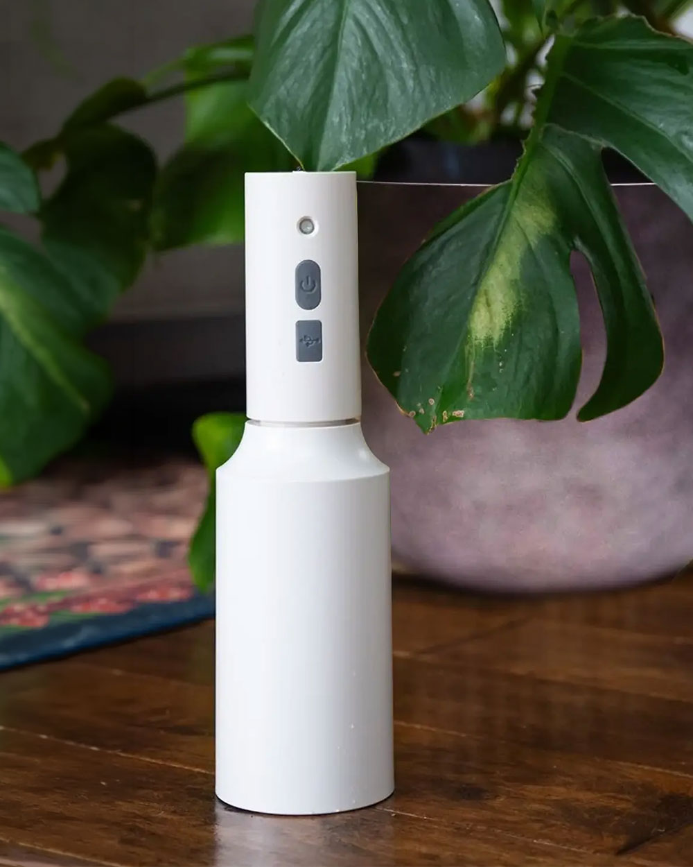 White Mr. Mister USB electric plant spray bottle standing on a wooden table, with a broad green leaf behind it.